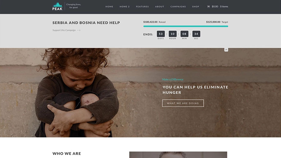 peak-minimal-charity-wordpress-theme