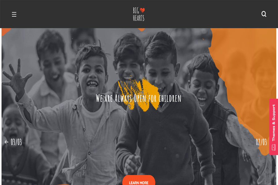 wordpress themes for non profit